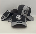 SNAPBACK