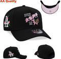 SNAPBACK